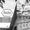 跨國醫(yī)藥巨頭：夢想能否變成現(xiàn)實？